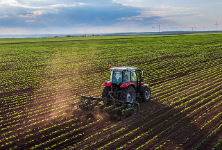 Ancona –  Investimenti produttivi agricoli, finanziate 458 aziende marchigiane